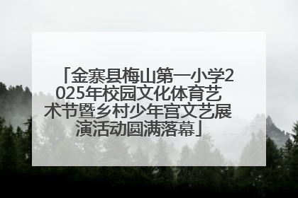 金寨县梅山第一小学2025年校园文化体育艺术节暨乡村少年宫文艺展演活动圆满落幕