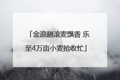 金浪翻滚麦飘香 乐至4万亩小麦抢收忙