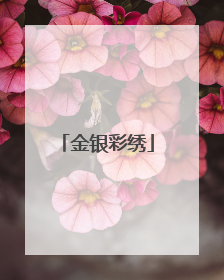 金银彩绣