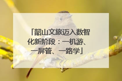 韶山文旅迈入数智化新阶段：一机游、一屏管、一路学