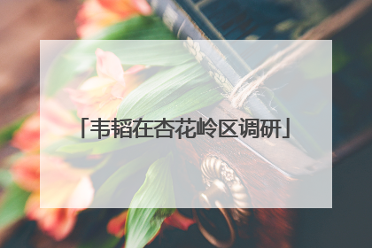 韦韬在杏花岭区调研