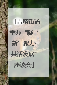 青塔街道举办“凝‘新’聚力·共话发展”座谈会