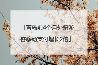 青岛前4个月外籍游客移动支付增长2倍