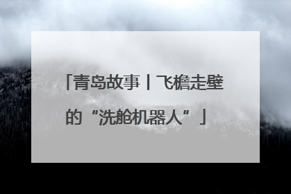 青岛故事丨飞檐走壁的“洗舱机器人”