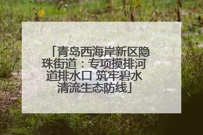 青岛西海岸新区隐珠街道：专项摸排河道排水口 筑牢碧水清流生态防线