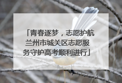 青春逐梦，志愿护航 兰州市城关区志愿服务守护高考顺利进行