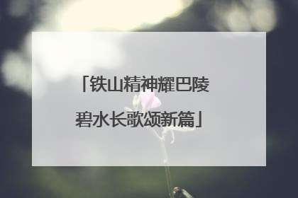铁山精神耀巴陵 碧水长歌颂新篇