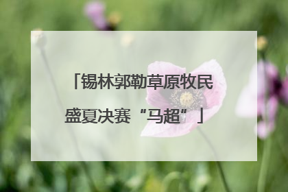 锡林郭勒草原牧民盛夏决赛“马超”