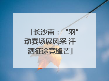 长沙南：“羽”动赛场展风采 汗洒征途竞锋芒