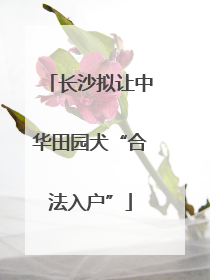长沙拟让中华田园犬“合法入户”