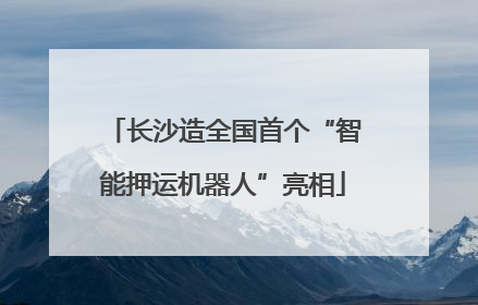 长沙造全国首个“智能押运机器人”亮相