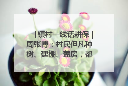 镇村一线话耕保｜周张博：村民但凡种树、建棚、盖房，都要向街道报批