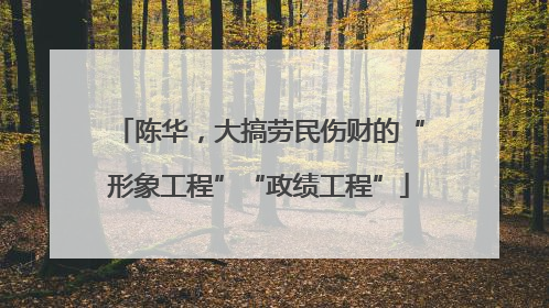 陈华，大搞劳民伤财的“形象工程”“政绩工程”
