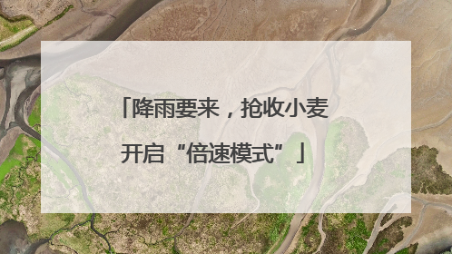 降雨要来，抢收小麦开启“倍速模式”