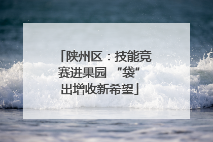 陕州区：技能竞赛进果园 “袋”出增收新希望