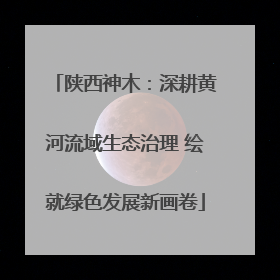 陕西神木：深耕黄河流域生态治理 绘就绿色发展新画卷