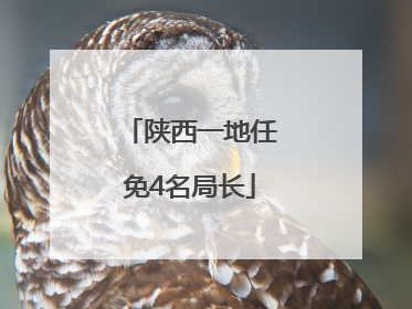 陕西一地任免4名局长