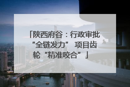 陕西府谷：行政审批“全链发力” 项目齿轮“精准咬合”