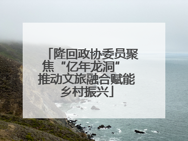 隆回政协委员聚焦“亿年龙洞” 推动文旅融合赋能乡村振兴