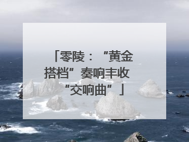 零陵：“黄金搭档”奏响丰收“交响曲”