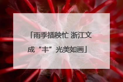雨季插秧忙 浙江文成“丰”光美如画