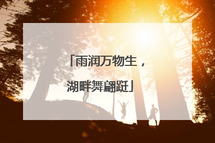 雨润万物生，湖畔舞翩跹