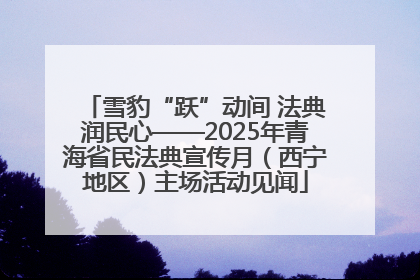 雪豹“跃”动间 法典润民心——2025年青海省民法典宣传月（西宁地区）主场活动见闻