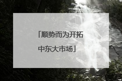 顺势而为开拓中东大市场