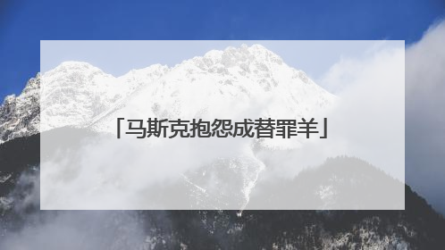 马斯克抱怨成替罪羊