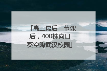 高三最后一节课后，400株向日葵空降武汉校园