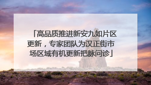 高品质推进新安九如片区更新，专家团队为汉正街市场区域有机更新把脉问诊