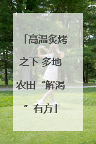 高温炙烤之下 多地农田“解渴”有方