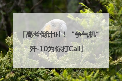 高考倒计时！“争气机”歼-10为你打Call
