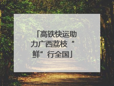 高铁快运助力广西荔枝“鲜”行全国