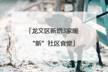 龙文区新增3家暖“新”社区食堂