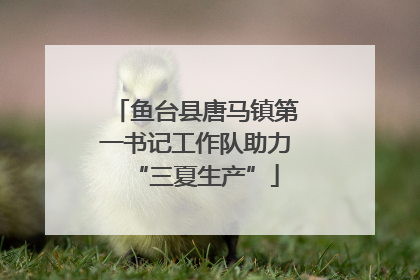鱼台县唐马镇第一书记工作队助力“三夏生产”