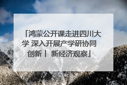 鸿蒙公开课走进四川大学 深入开展产学研协同创新丨 新经济观察
