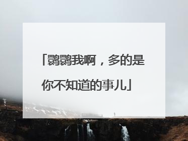 鹮鹮我啊，多的是你不知道的事儿
