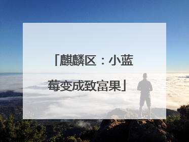 麒麟区：小蓝莓变成致富果
