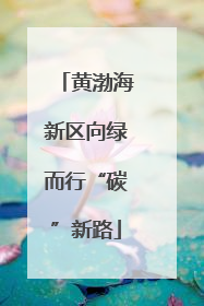 黄渤海新区向绿而行“碳”新路