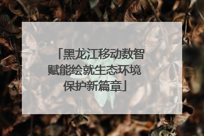 黑龙江移动数智赋能绘就生态环境保护新篇章