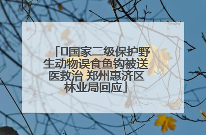 ﻿国家二级保护野生动物误食鱼钩被送医救治 郑州惠济区林业局回应