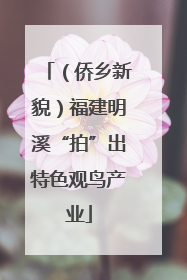 （侨乡新貌）福建明溪“拍”出特色观鸟产业