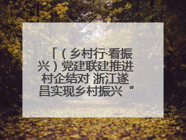 （乡村行·看振兴）党建联建推进村企结对 浙江遂昌实现乡村振兴“加速度”