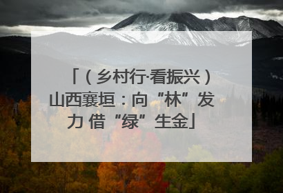 （乡村行·看振兴）山西襄垣：向“林”发力 借“绿”生金