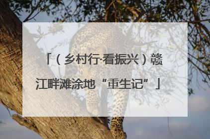 （乡村行·看振兴）赣江畔滩涂地“重生记”