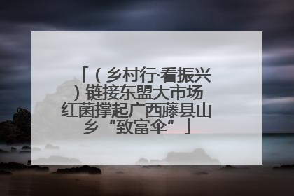 （乡村行·看振兴）链接东盟大市场 红菌撑起广西藤县山乡“致富伞”
