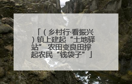 （乡村行·看振兴）镇上建起“土地驿站” 农田变良田撑起农民“钱袋子”