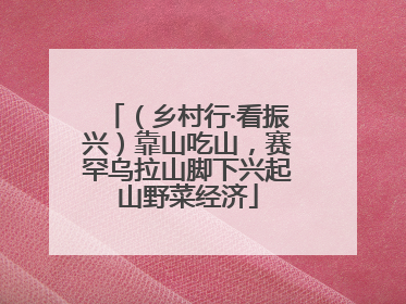（乡村行·看振兴）靠山吃山，赛罕乌拉山脚下兴起山野菜经济