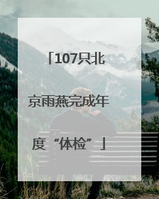 107只北京雨燕完成年度“体检”